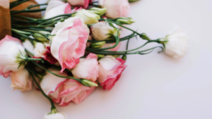 Offre-Moi une rose