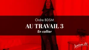 Ordre Au travail 3 • En collier